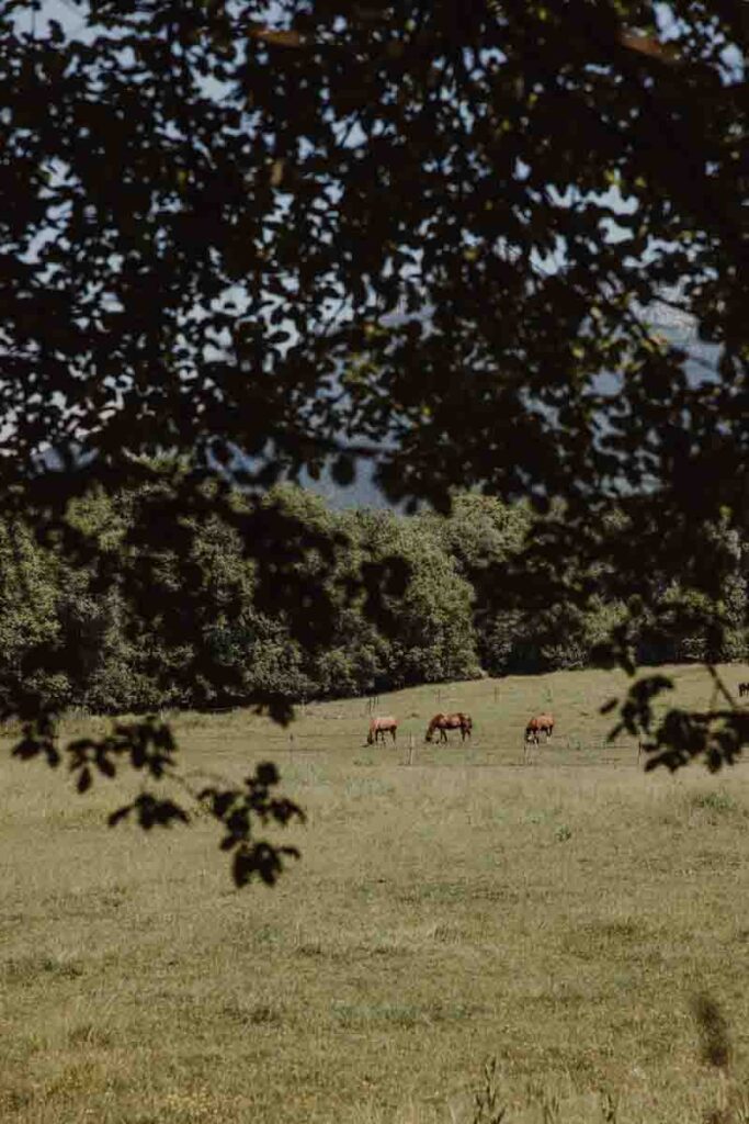  Gr50515